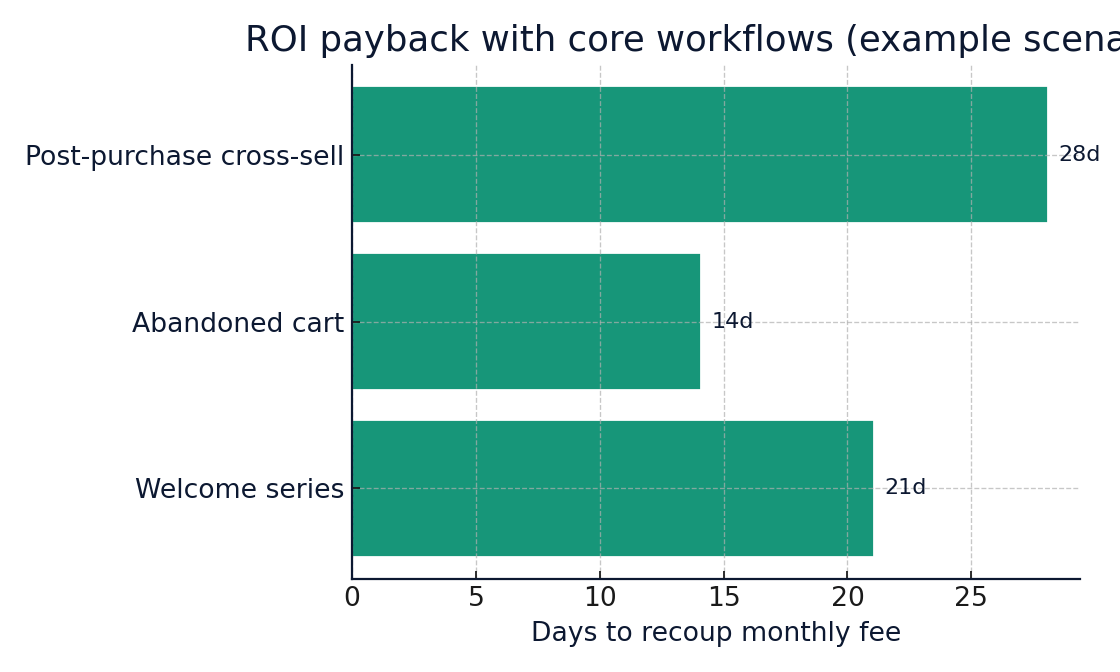 MailerLite automation 2025 ROI payback chart